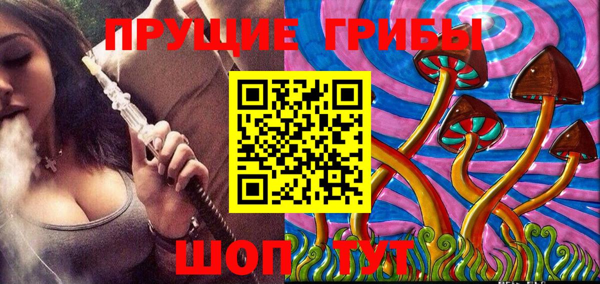 Наро-Фоминск  Псилоцибиновые грибы Psilocybine cubensis  Вход с VPN 